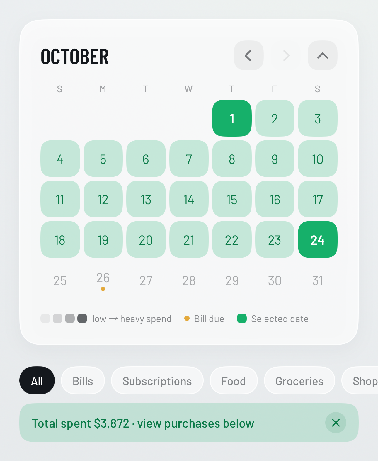 A month calendar with bills, paydays, and spending marked by day